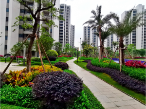黄金时代/盛世名门